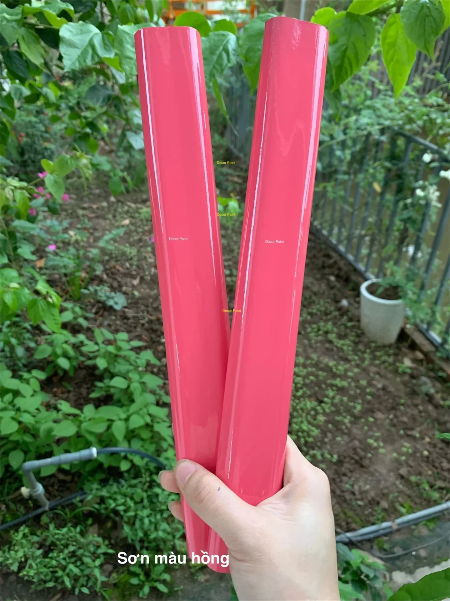 Mẫu sơn thực tế 15in1 hồng ảnh 1
