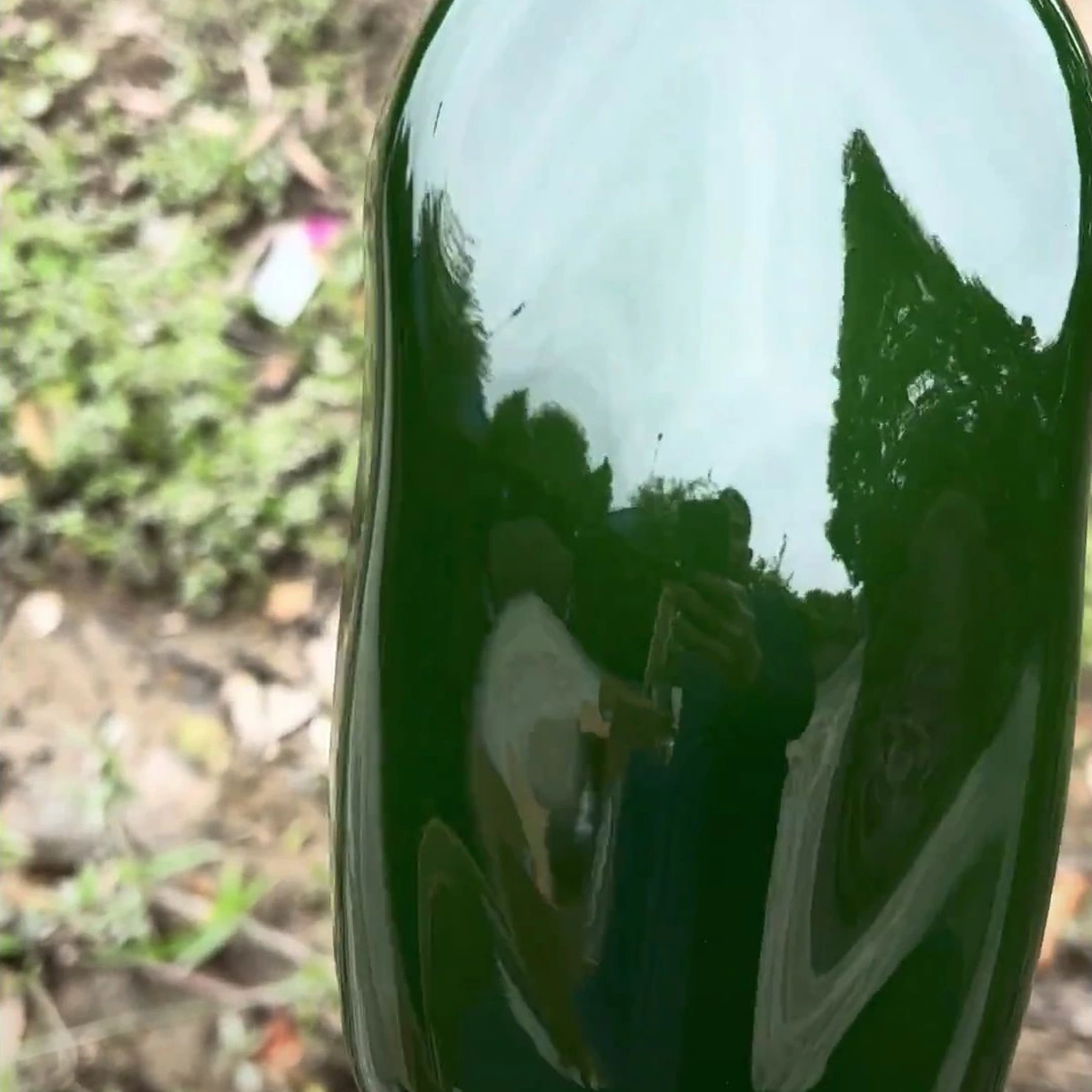Mẫu sơn thực xanh rêu bóng từ video, giữ phản chiếu ánh sáng tự nhiên