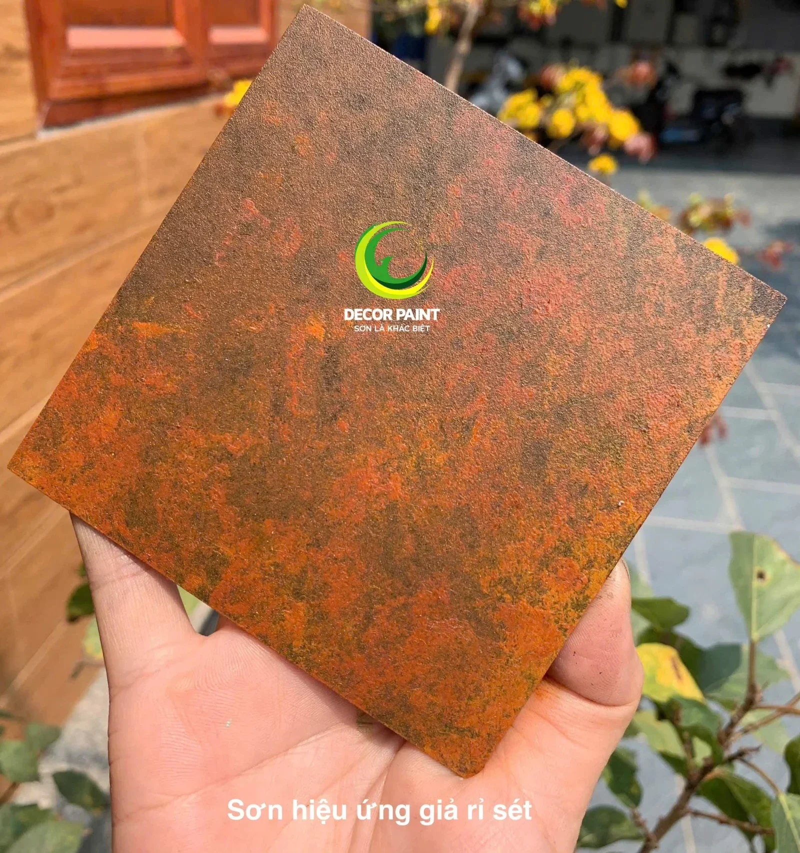 Mẫu sơn thực tế gia ri ảnh 1