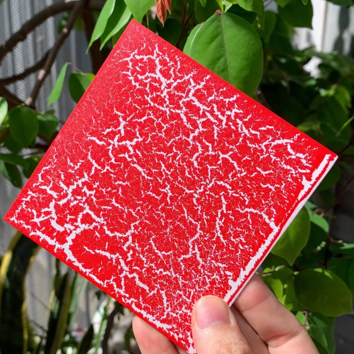 Ảnh mẫu sơn nứt đỏ thực tế Decor Paint đã dọn logo chèn